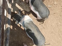 -清风小镇闯关东影视基地