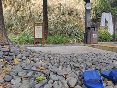 -英德宝晶宫天鹅湖茶语温泉