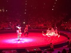 -珠海横琴长隆《卡卡虎奇遇记》