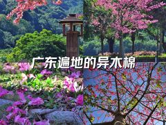 -风云岭森林公园