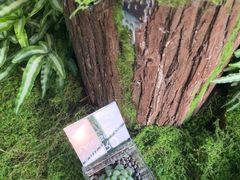 -利星行天竺之星汽车有限公司