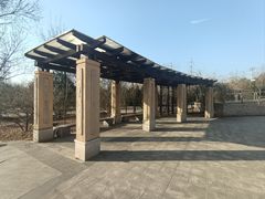 -永定河休闲森林公园