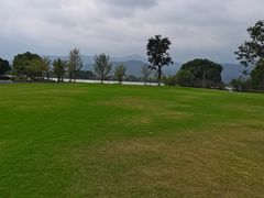 -长田漾湿地公园