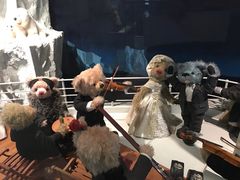 -济州岛泰迪熊博物馆