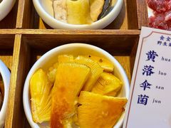 -食全酒美·野生菌腊排骨餐厅(木府店)