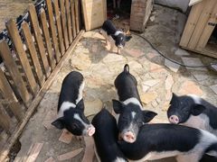 -HERRE·FARM 赫尔露营农场·团建聚会包场