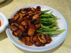 -新侨小馆(东直门北小街店)