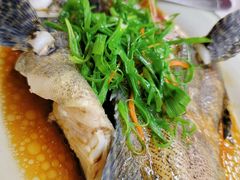-哈味食店(外伶仃岛店)