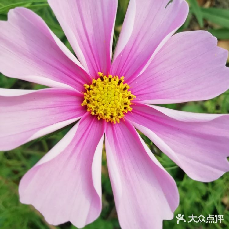 河的东岸新建了一个很大的公园,虽然没有命名