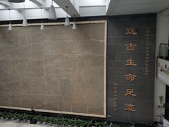 -中国地质大学逸夫博物馆