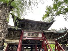 -晋祠公园