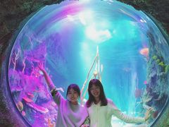 -沈阳海洋探索中心