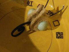 -上海昆虫博物馆