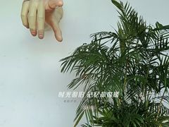 -西安电影制片厂