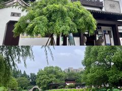 -南园(太仓市)