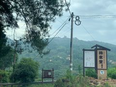 -杨家堂村