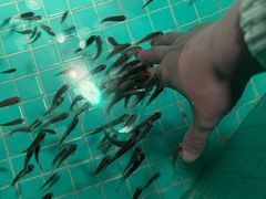 -江和美海洋公园