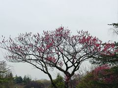 -东方绿舟景区