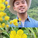 北京西郊白草畔☁️一不小心就步入云中仙境