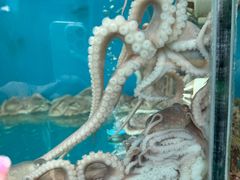 -临风海鲜餐厅
