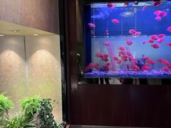-九洲喜来登酒店湖月日餐厅