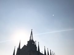 -美的鹭湖森林度假区