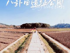 -八卦田遗址公园