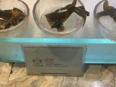 -半岛翡丽海鲜自助餐厅(观风亭店)