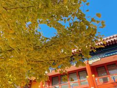 -北京石刻艺术博物馆(五塔寺)