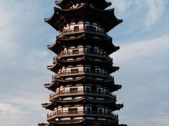 -洋湖国家湿地公园