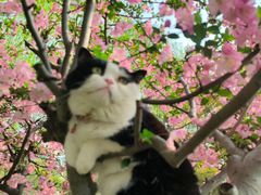 -昆山城市公园