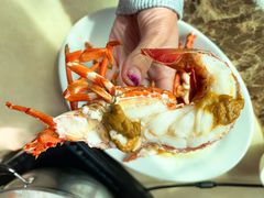 龙虾仔-蚝乡农庄(铁涌赤岸店)