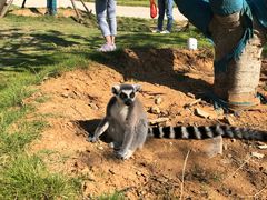 -南京金牛湖风景区