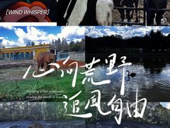 -哈尔滨北方森林动物园