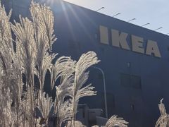 -宜家家居(宝山商场店)