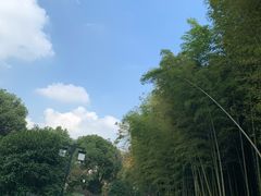 -苏州环秀晓筑养生度假村