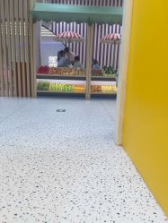 -meland亲子乐园(珠海环宇城店)