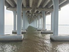 -宝安西湾红树林湿地公园