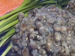 -77号渔船·蒸海鲜青岛菜(积米崖店)