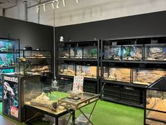 -FAIRYLAND龙族星球主题餐厅(凯丹广场店)