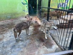 -荆州中山公园动物园