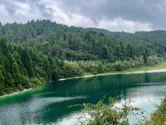 -武陵山森林公园