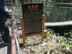 -云南屏边大围山国家公园