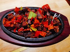 -蒙料·手把肉(望京店)
