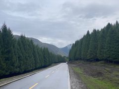 -新疆那拉提国家旅游度假区