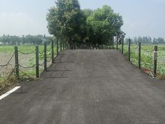 -洪湖生态旅游区