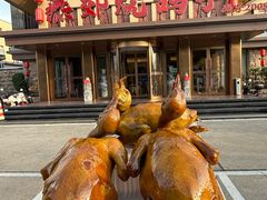 -燕郊烧鸽子(广安路店)