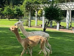 -东南花都花博园