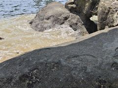 -演武大桥观景平台