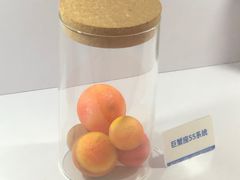 -北京天文馆